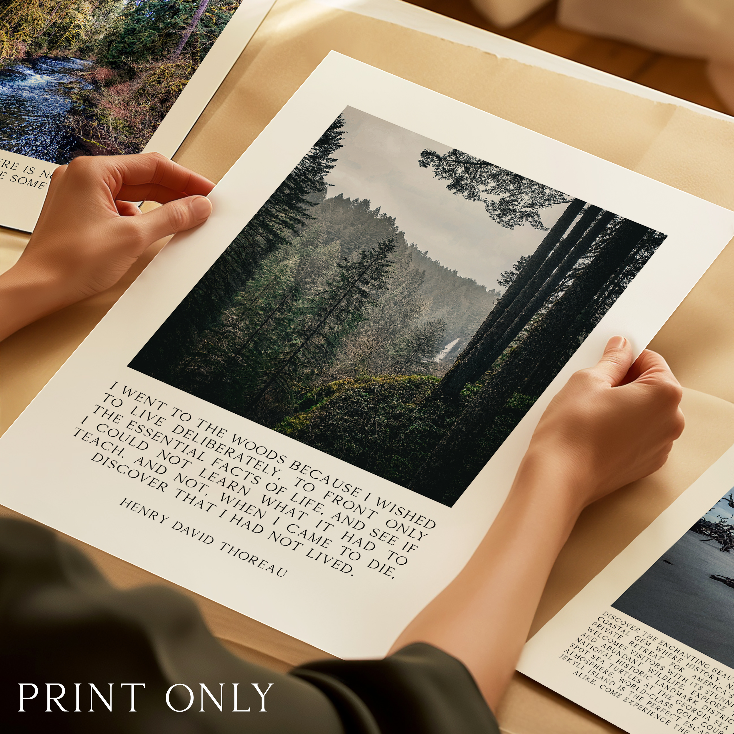 Henry David Thoreau Quote Print, Silver Falls State Park Oregon Photography, Nature Wall Art - Image 4