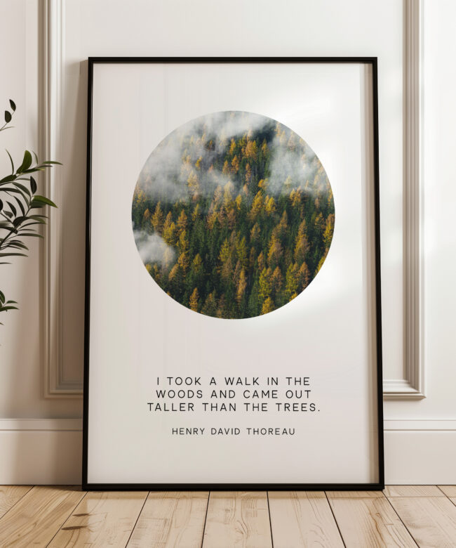 Henry David Thoreau Quote Print: "I Took a Walk in the Woods" Nature Wall Art