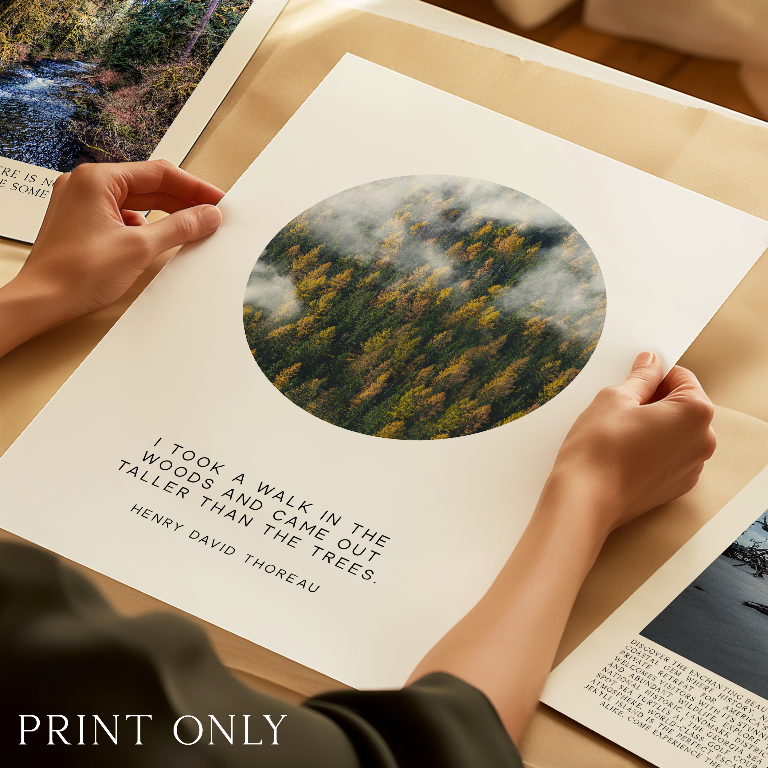 Henry David Thoreau Quote Print: "I Took a Walk in the Woods" Nature Wall Art - Image 4