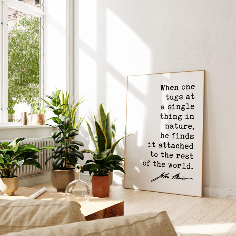 When one tugs at a single thing in nature, he finds it attached to the rest of the world. John Muir Quote Typography Art Print - Image 3