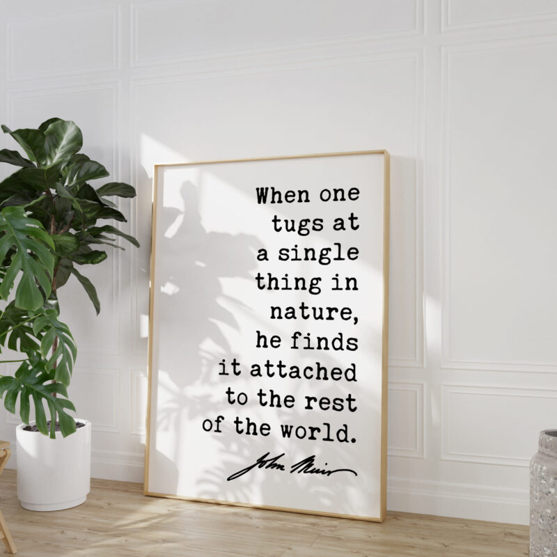When one tugs at a single thing in nature, he finds it attached to the rest of the world. John Muir Quote Typography Art Print - Image 4