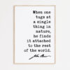 When one tugs at a single thing in nature, he finds it attached to the rest of the world. John Muir Quote Typography Art Print