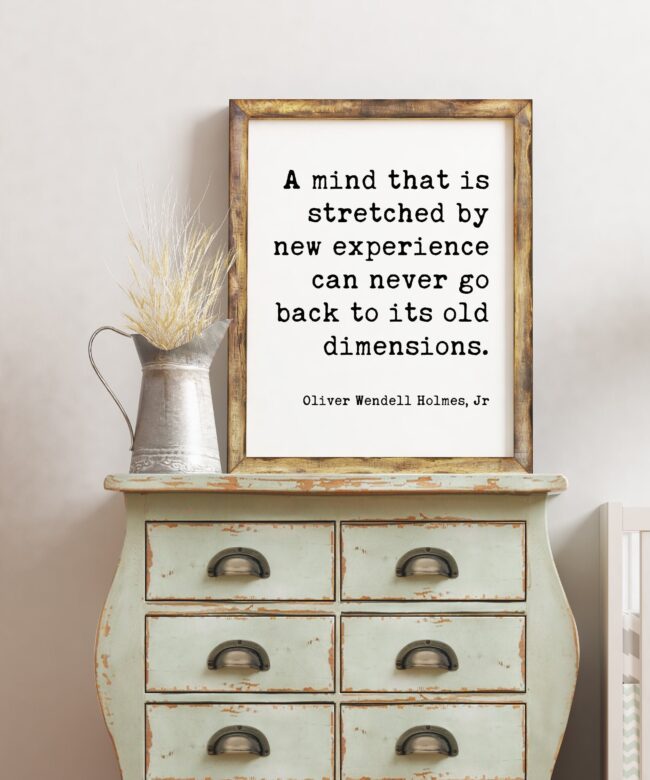Oliver Wendell Holmes, Jr. Quote - A mind that is stretched by new experience. Art Print - Travel Quotes - Nursery Art - Adventure Quotes