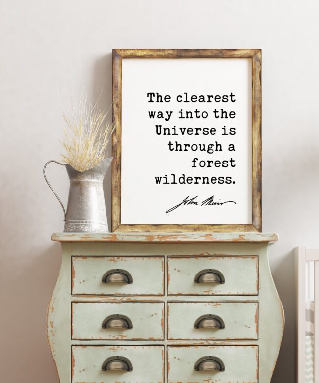 The clearest way into the Universe is through a forest wilderness. John Muir Quote Art Print - Nature - Environmentalist - John Muir Quote