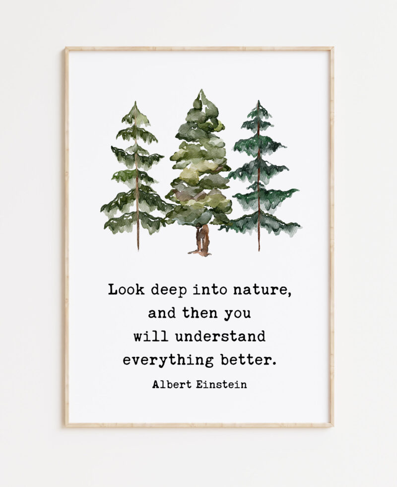 Albert Einstein Quote, Look deep into nature, and then you will understand everything better. Typography Art Print with Evergreen Trees - Image 3