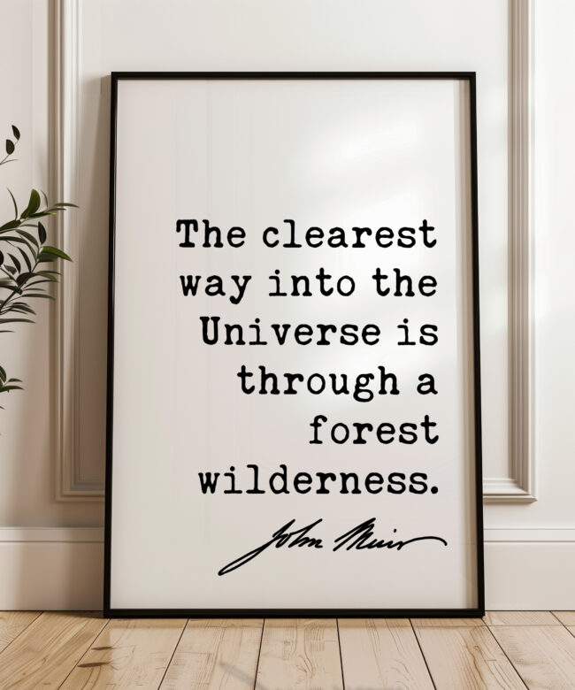 Nature Wall Art: The Clearest Way Into The Universe - John Muir Quote