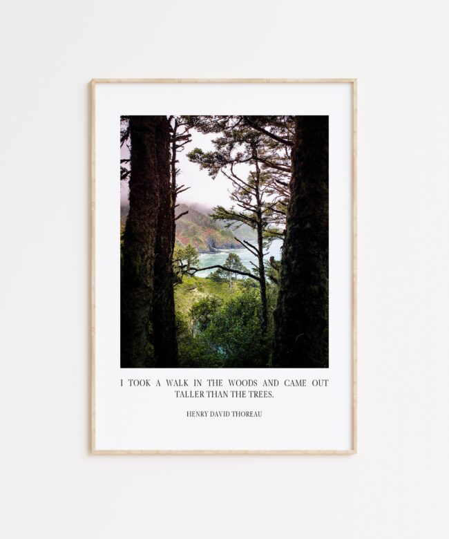 Henry David Thoreau Quote - I took a walk in the woods and came out taller than the trees. Typography Art Print - Oregon Coast - Heceta Head