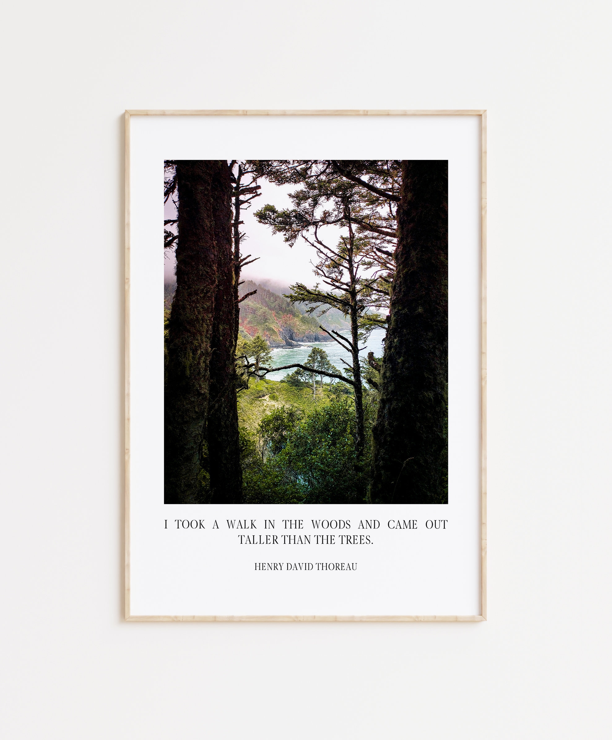 Henry David Thoreau Quote - I took a walk in the woods and came out taller than the trees. Typography Art Print - Oregon Coast - Heceta Head