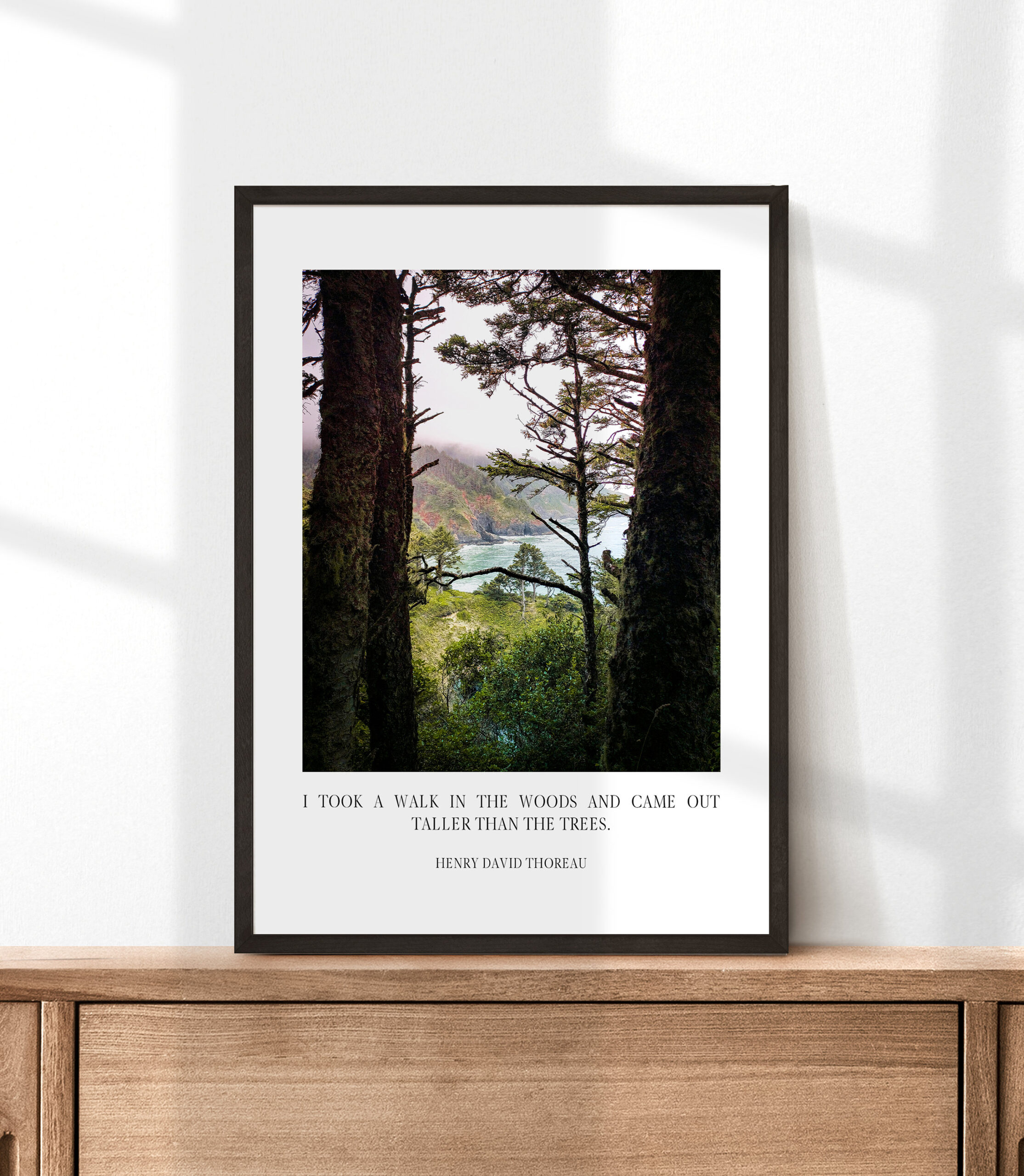 Henry David Thoreau Quote - I took a walk in the woods and came out taller than the trees. Typography Art Print - Oregon Coast - Heceta Head - Image 3