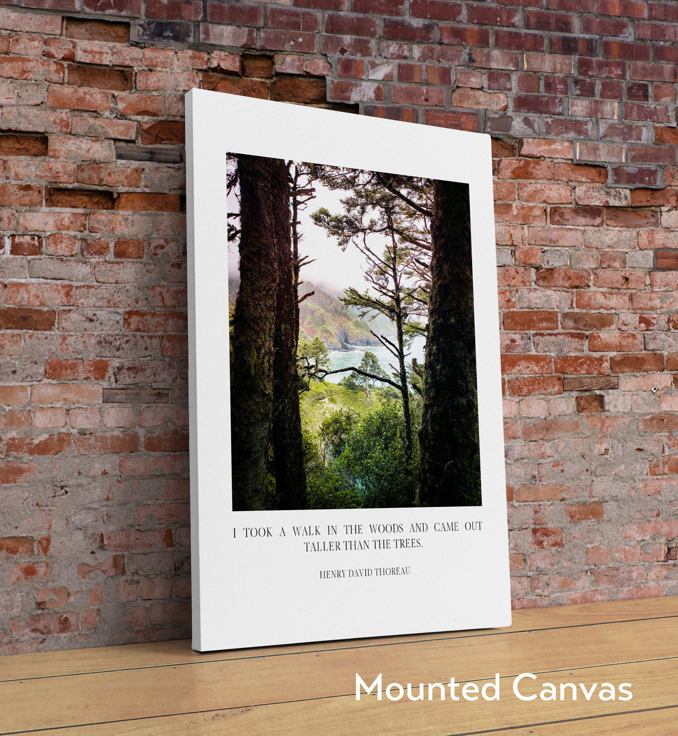 Henry David Thoreau Quote - I took a walk in the woods and came out taller than the trees. Typography Art Print - Oregon Coast - Heceta Head - Image 2