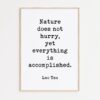 Lao Tzu Quote - Nature does not hurry, yet everything is accomplished. Typography Art Print Lao Tzu Quote - Nature does not hurry, yet everything is accomplished. Typography Art Print