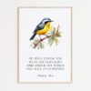 Psalm 91:4  He will cover you with His feathers, and under His wings you will find refuge. Art Print
