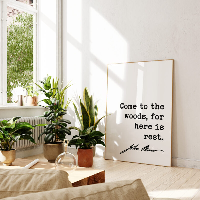 John Muir Quote - Come to the woods, for here is rest. Typography Art Print - Image 3