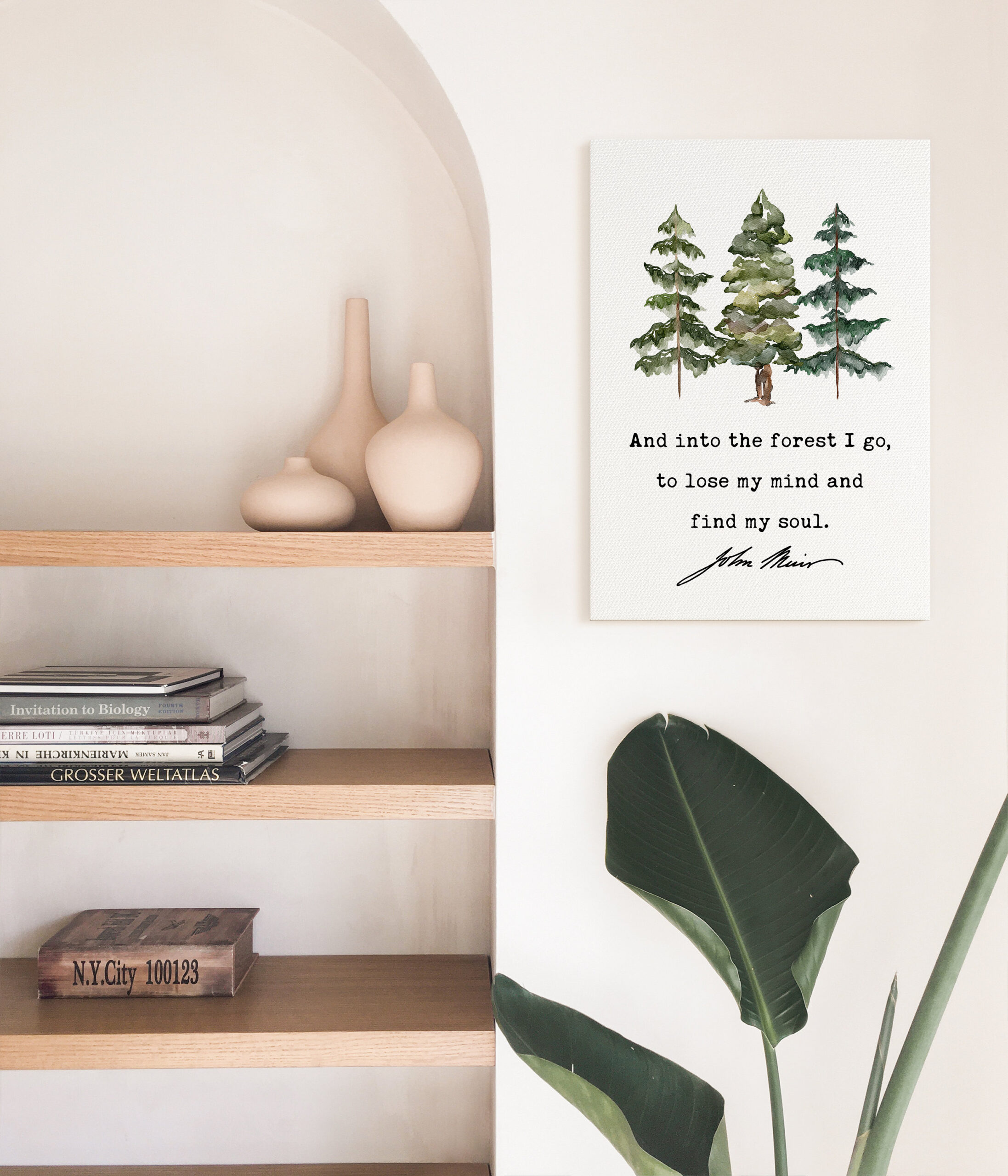 John Muir Quote - And into the forest I go, to lose my mind and find my soul. Low Profile Mounted Canvas Typography Art Print - Image 5