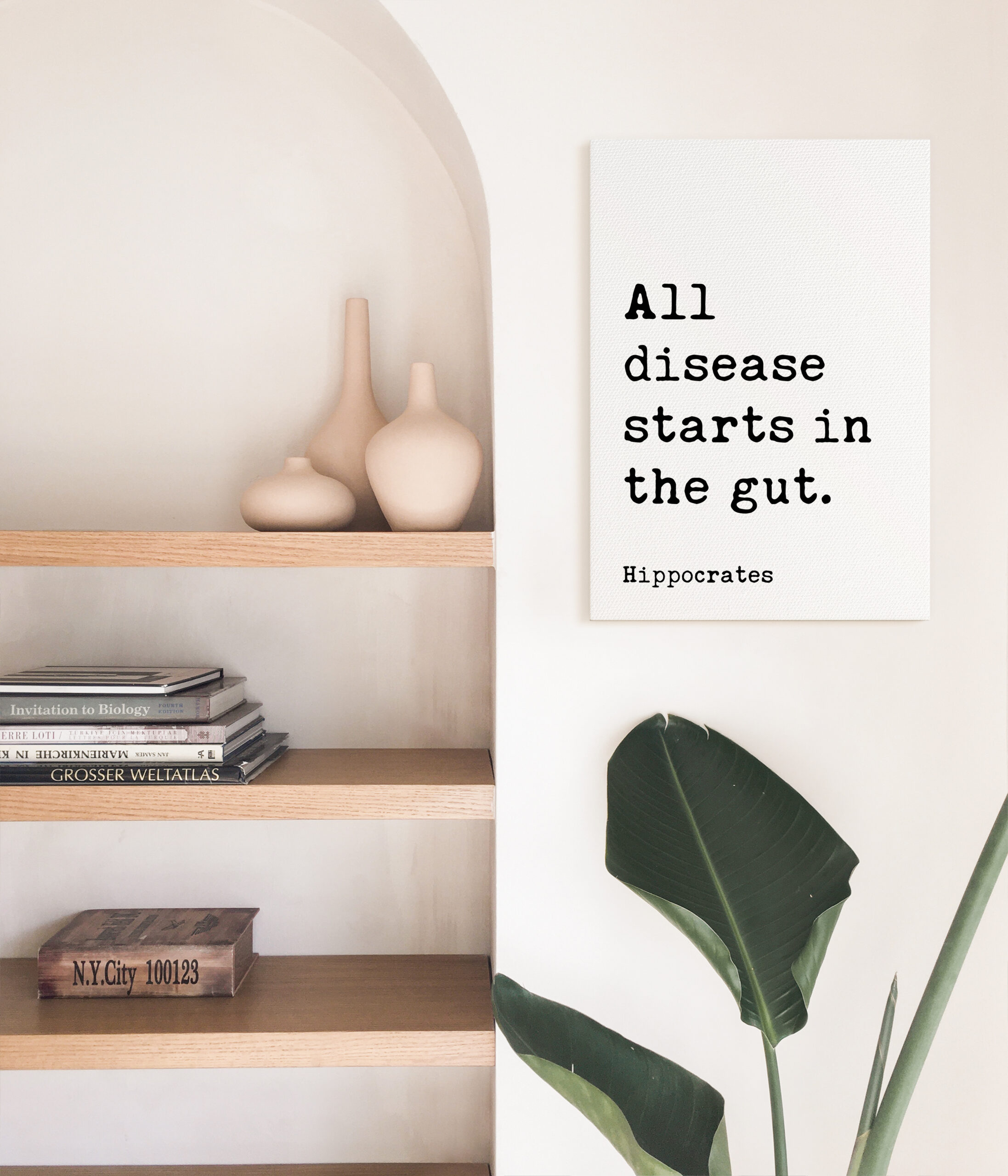 All disease starts in the gut. Hippocrates Quote. Low Profile Mounted Canvas Typography Art Print - Image 2
