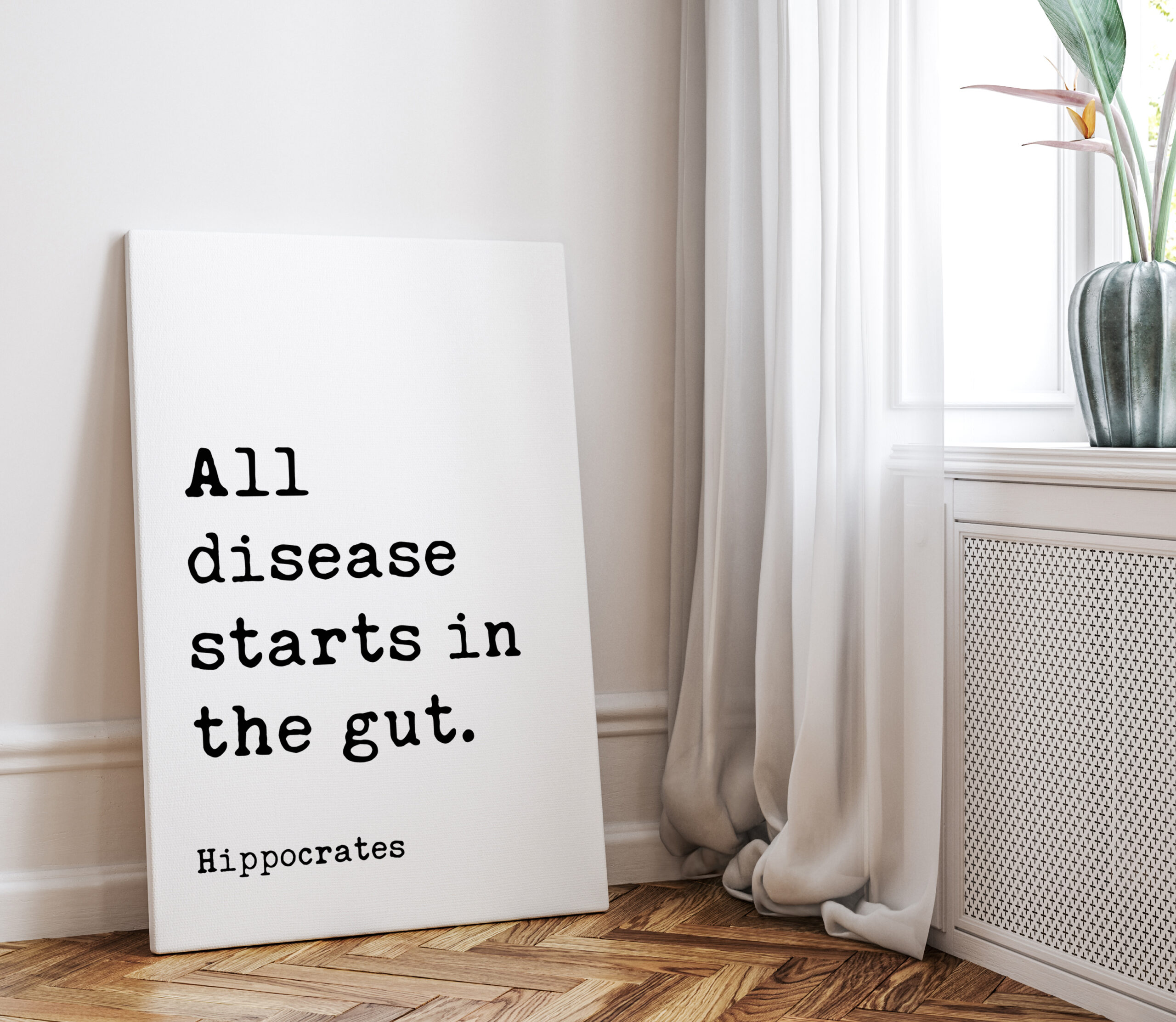 All disease starts in the gut. Hippocrates Quote. Low Profile Mounted Canvas Typography Art Print - Image 4