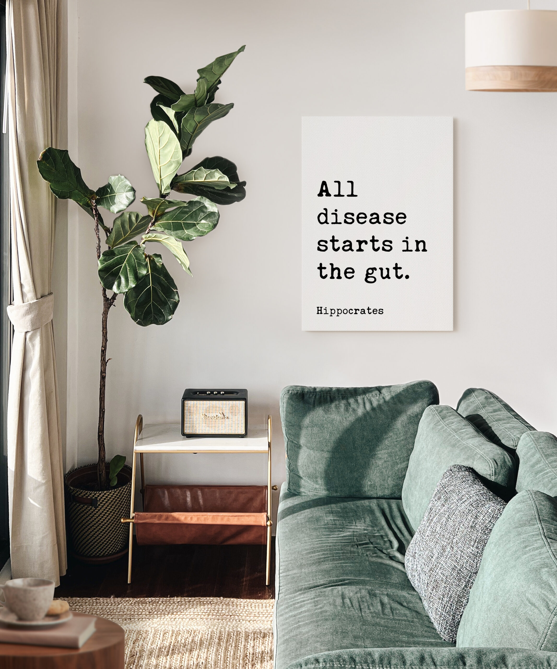All disease starts in the gut. Hippocrates Quote. Low Profile Mounted Canvas Typography Art Print - Image 5