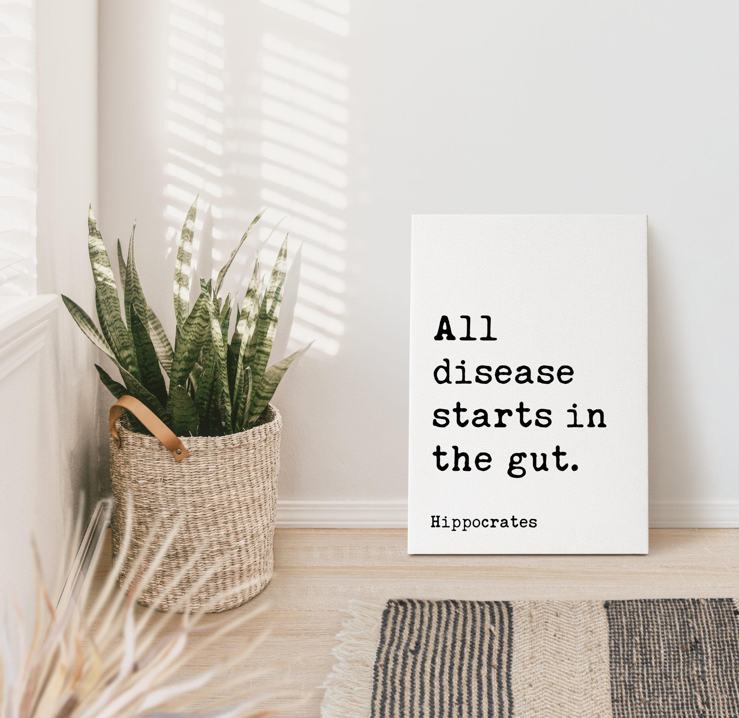 All disease starts in the gut. Hippocrates Quote. Low Profile Mounted Canvas Typography Art Print - Image 6