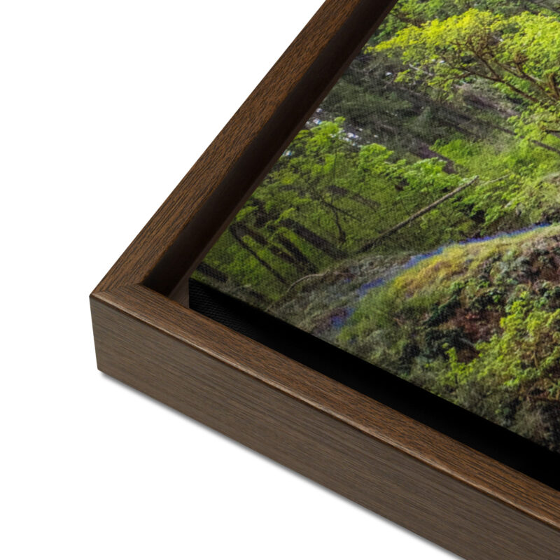 Lower South Falls at Silver Falls State Park, Oregon - Framed Canvas Art Print - Image 5