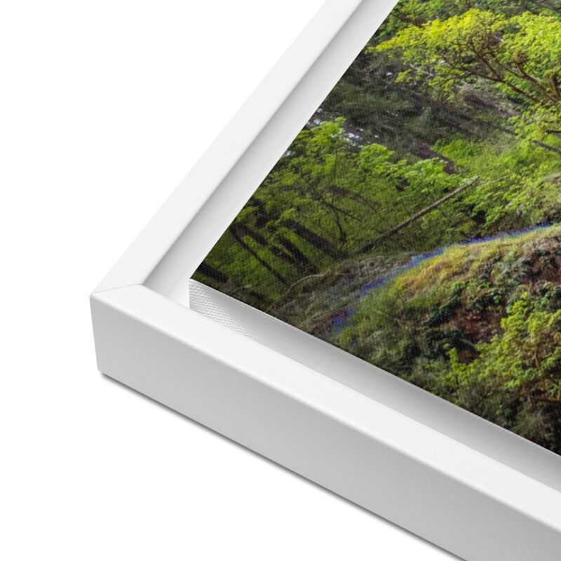 Lower South Falls at Silver Falls State Park, Oregon - Framed Canvas Art Print - Image 7