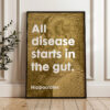 All disease starts in the gut. Hippocrates Quote Typography Art • Wellness • Fitness • Inspiration • Health All disease starts in the gut. Hippocrates Quote Typography Art • Wellness • Fitness • Inspiration • Health