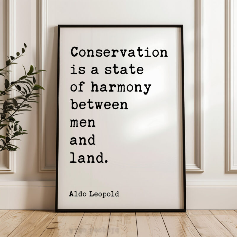 Conservation is a state of harmony between men and land. • Aldo Leopold Quote • Typography Art Print - Image 4