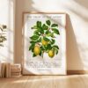 Fruit of the Spirit Typography Wall Art – Galatians 5:22–23 Scripture Print – Christian Botanical Plum Illustration Home Décor