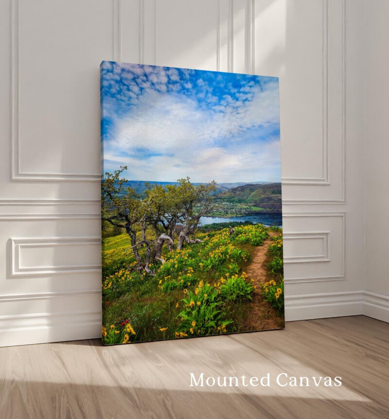 Oregon Landscape Photography Print – Tom McCall Point Trail Wall Art – Columbia River Gorge – PNW Nature Photo by Jessie Dysart - Image 2