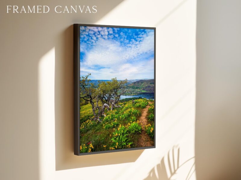 Oregon Landscape Photography Print – Tom McCall Point Trail Wall Art – Columbia River Gorge – PNW Nature Photo by Jessie Dysart - Image 3