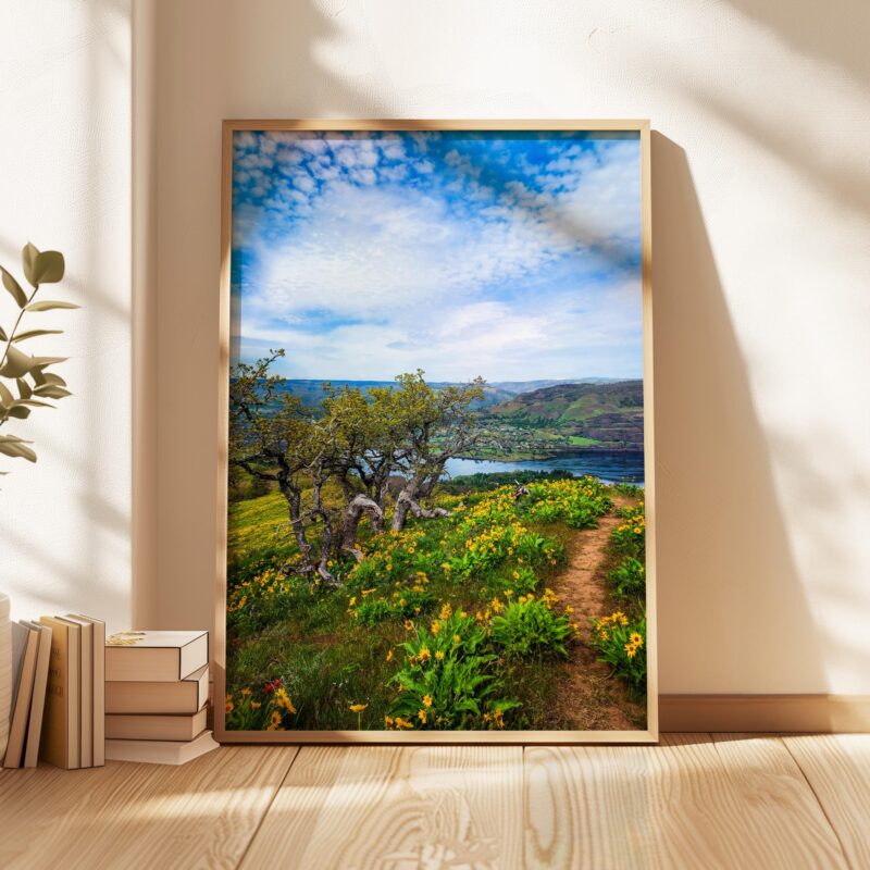 Oregon Landscape Photography Print – Tom McCall Point Trail Wall Art – Columbia River Gorge – PNW Nature Photo by Jessie Dysart - Image 7