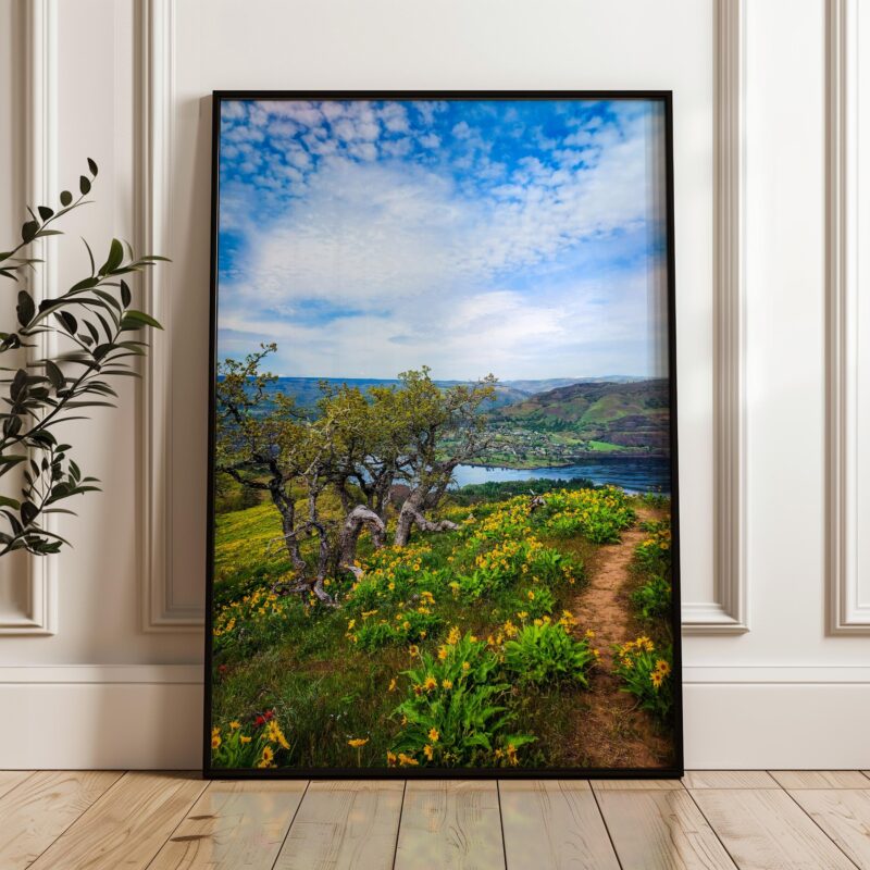 Oregon Landscape Photography Print – Tom McCall Point Trail Wall Art – Columbia River Gorge – PNW Nature Photo by Jessie Dysart - Image 6