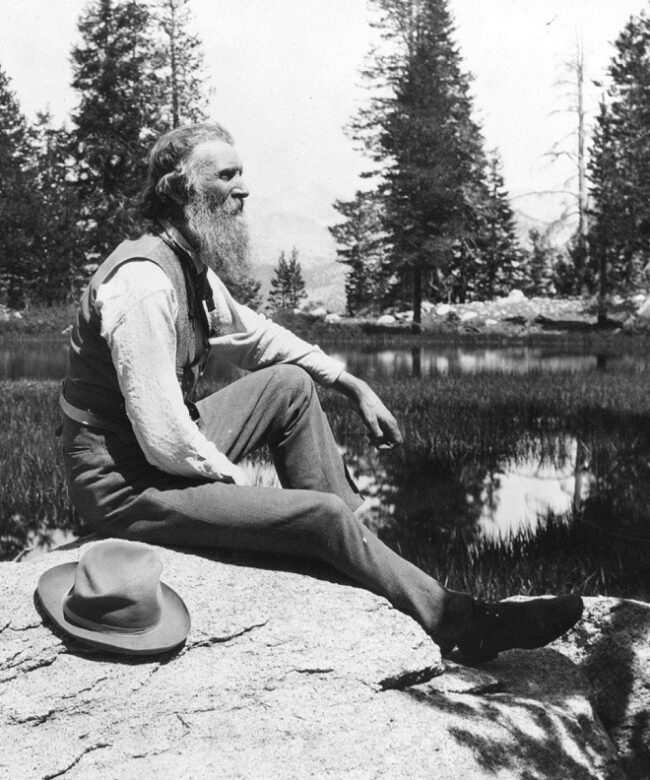 John Muir Quotes Art Prints