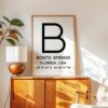Bonita Springs, Florida with GPS Coordinates Minimalist Typography Art Print