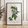 I Am The Vine • You Are the Branches • Mary Walcott Maypop •  John 15:5 • Art Print