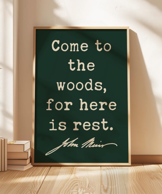 Come to the Woods, for Here is Rest • John Muir Quote • Typography Art Print