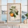 Fruit of the Spirit, Is Love, Joy, Peace, Patience, Kindness,  Galatians 5:22-23, Art Print