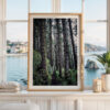 Oregon Coast Forest Photography, Sitka Spruce Trees, Hiking Trail Wall Art, Pacific Northwest Print