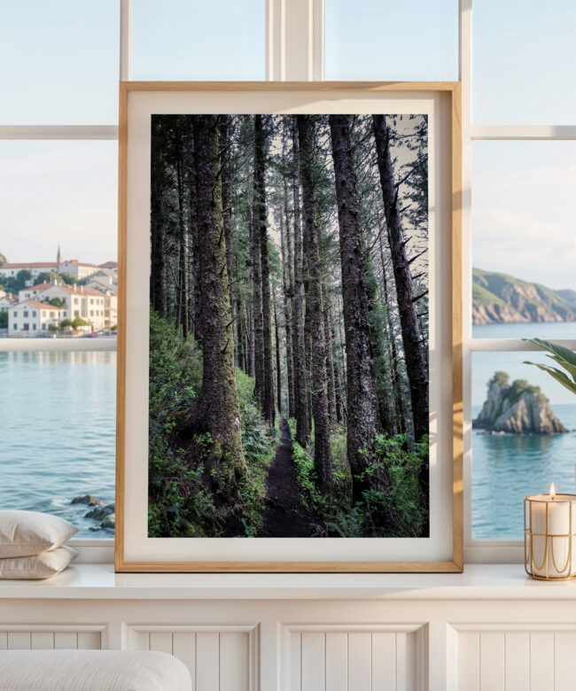 Oregon Coast Forest Photography, Sitka Spruce Trees, Hiking Trail Wall Art, Pacific Northwest Print